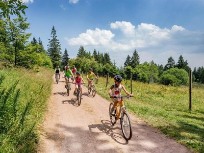 Circuit VTT 2 - Les Bagenelles