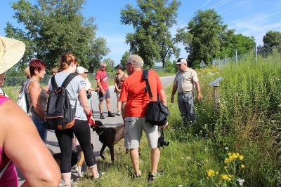 Sentier pédestre : Les curiosités au bord des eaux