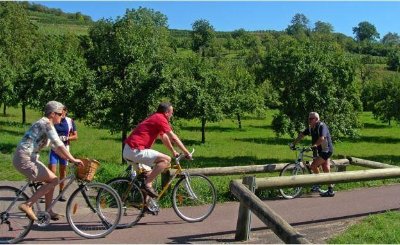 Piste cyclable - Odratzheim / Westhoffen