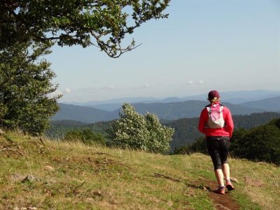Trail Tour du Molkenrain