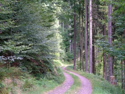 Circuit rando B08 : La marbrière