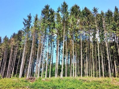 Circuit VTT de l'Ungersberg