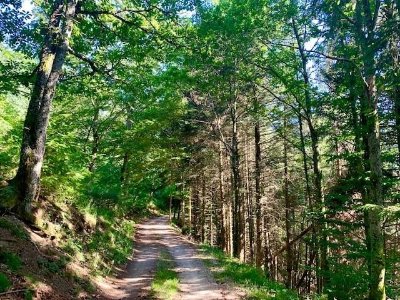 Circuit VTT : l'Echo de Bourbach-le-Haut