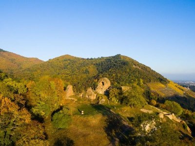 Trail Thann - Camp Turenne