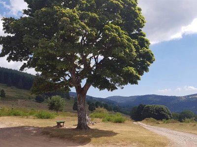 Circuit poussettes 4x4 C02 : autour du col de la Perheux