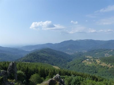 Circuit VTT n°34 : Le Haag