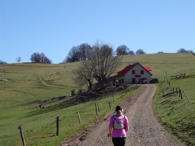 Sentier du Hirschenbach