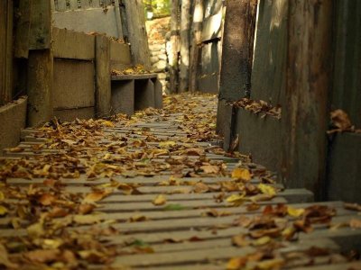 Circuit du Km 0 - Pfetterhouse-Moos-Bonfol