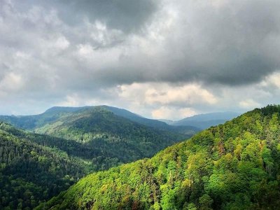 Circuit VTT des sources