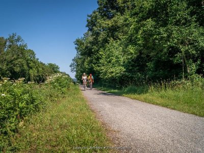 A travers deux Pays - De Neuf-Brisach à Breisach