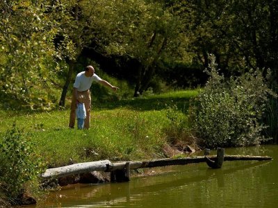Circuit rando H15 : Autour de l'étang de Steige