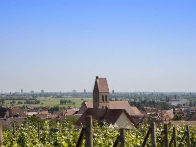 Sentier viticole des Grands Crus d'Eguisheim