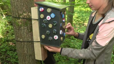 Géocaching - Le trésor de Belmont