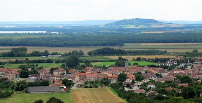 C11 : Le vignoble