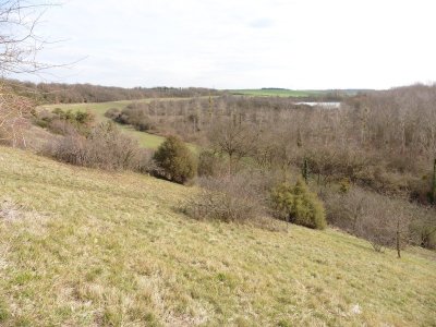 La Pelouse et le Marais de Roussy