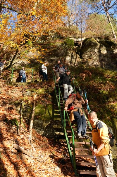 Sentier du Buchholzkopf et sentier des roches