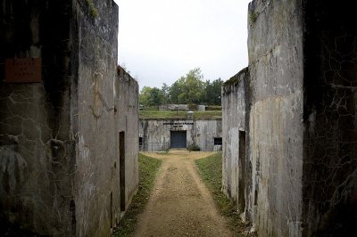 Circuit Rando n° 81 - La Falouse