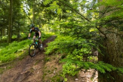 Circuit VTT n°14 les étangs