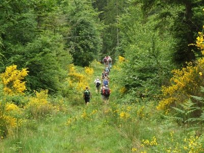 Randonnée pédestre - massif de la Madeleine - m2