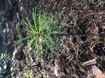 Circuit des grands bois