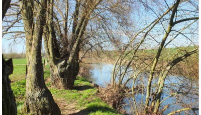 Circuit de Han-sur-Seille