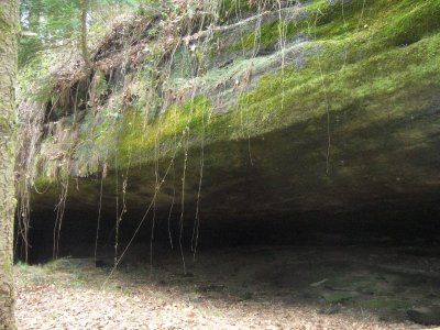 Les solitaires de bonneval