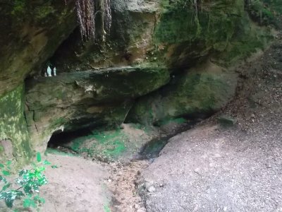 Rando n°12 - Les sources du Durbion