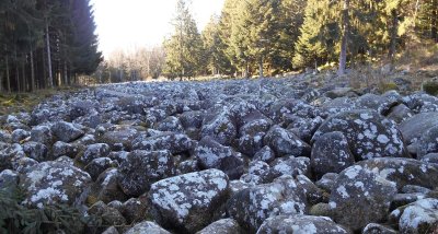 Circuit pédestre - Le Champ de Roches (Petit Circuit)