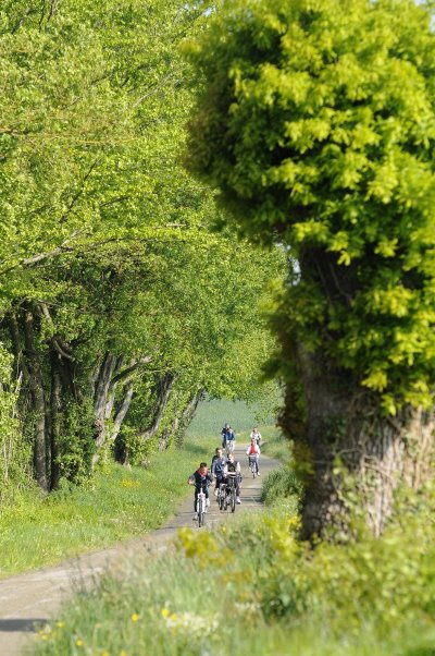 Sur les terres de Guillaume Gouet - n°15