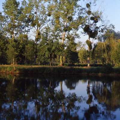 Sentier nature de Douy