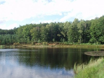 VTT - Gravel - La Forêt de Mirambel - 39 km - circuit 52
