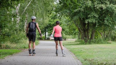 Balade à roulettes : Piste du Lion