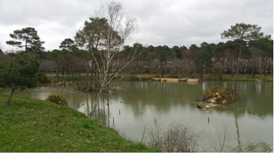 Balade à roulettes : Parc de Monsalut à Cestas