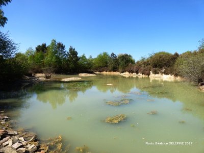 Boussais - Espace Naturel Sensible - Les communaux de l'Hôpiteau