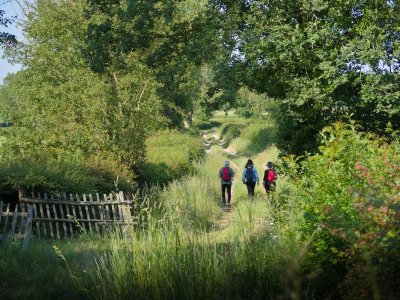 De la vallée de la Vonne à Bois Pouvreau
