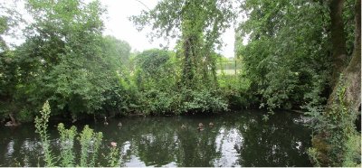 Balade à roulettes : Parc Mandavit