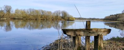 Les étangs de Sologne (circuits accompagnés)