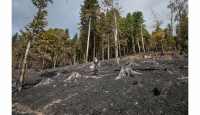 Balade famille - Circuit de la Grand Roche