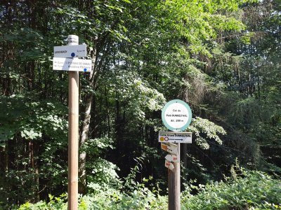 Sentier d'excellence 1 - autour du château de Ramstein