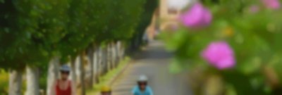 Promenade des eaux secrètes - n°10