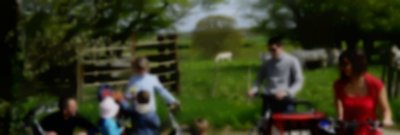 Perruchet et ses migrateurs - n°4