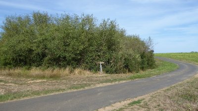 La fontaine Tic-Tic - n°26