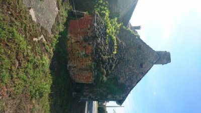 Boucle des Orchidées