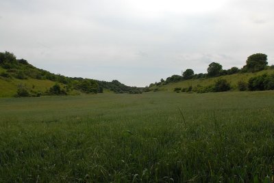 Availles Thouarsais -" Espace Naturel Sensible" Les vallées sèches