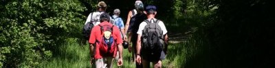 Circuit pédestre A travers bois et sentiers CH3
