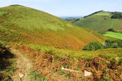 VTT N°1 -  Piémont de Barétous