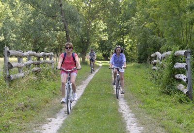 Circuit d’Arçais à Saint-Hilaire-la-Palud en écomobilité