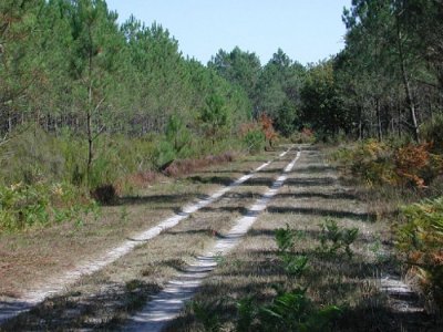 Circuit des Landes de Gascogne
