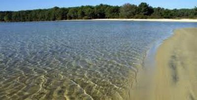 Balade à roulettes : Halte nautique de l'étang de Cazaux