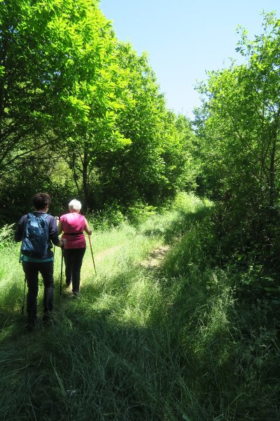 Par Monts et par Vaux